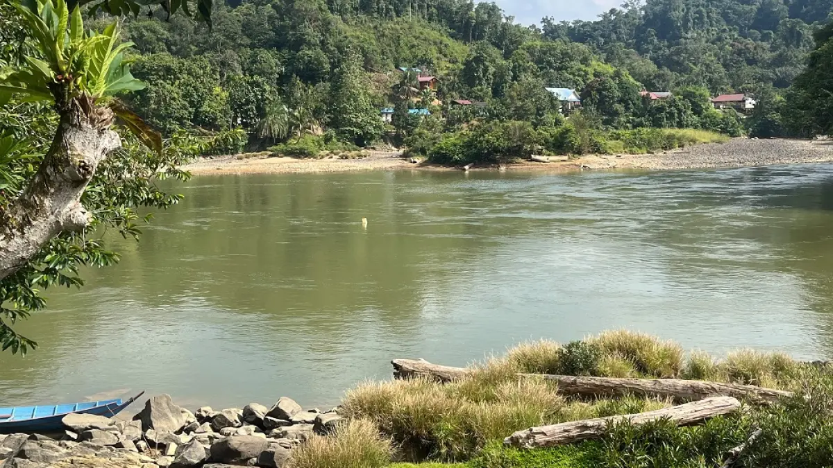 Harga Beras Rp 1 Juta per Karung di Long Apari, Pemuda Perbatasan: 