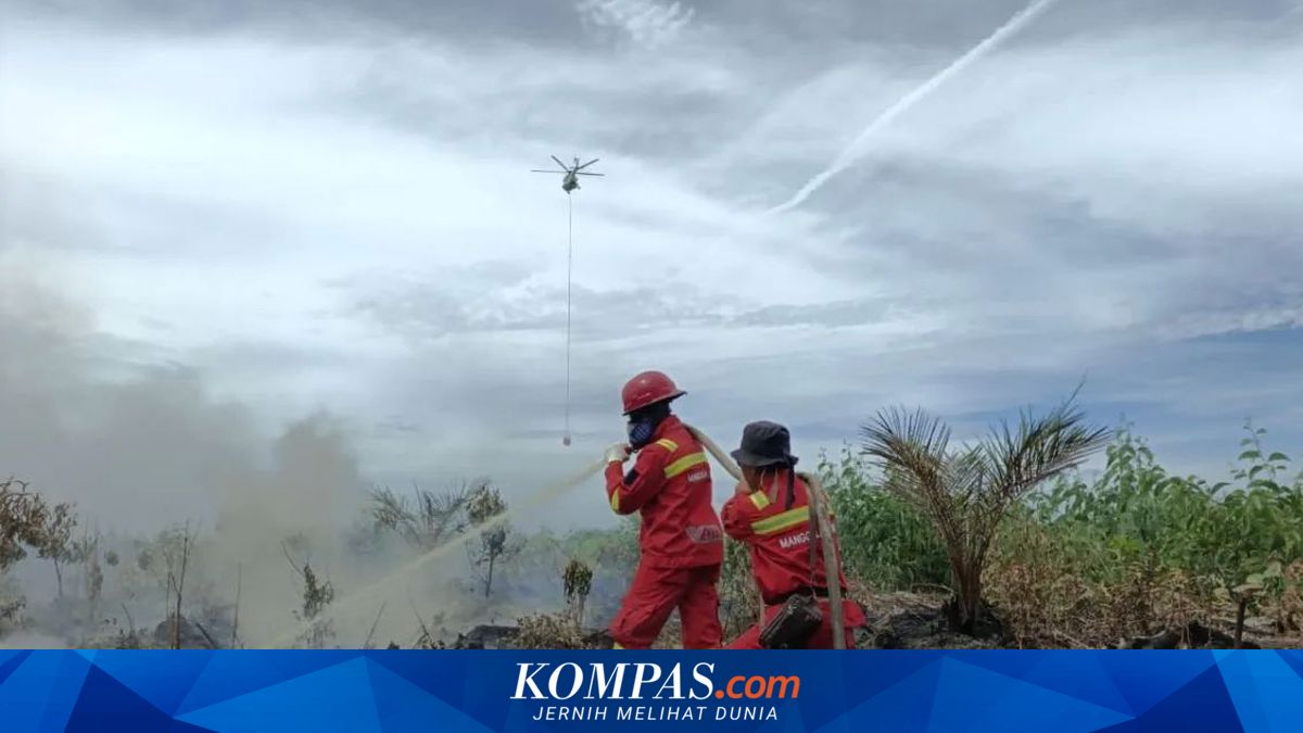BPBD Sumsel Usulkan 4 Helikopter Water Bombing Tambahan Antisipasi Puncak Karhutla Juli–Agustus 2026