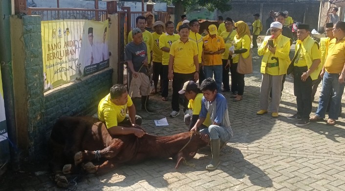 DPD Golkar Kota Tangerang Sembelih 67 Hewan Kurban, Sachrudin Sebut Wujud Kepedulian dan Keikhlasan