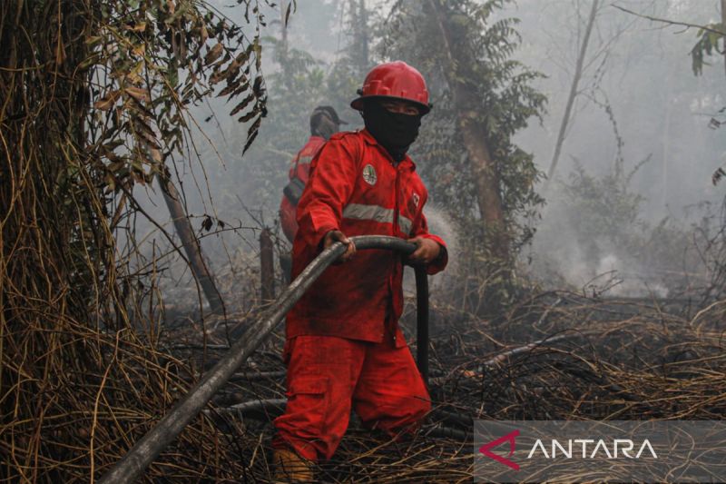 Kebakaran Hutan dan Lahan di Palangka Raya Capai 54,44 Hektare dalam 109 Kejadian Hingga 26 Juli 2026