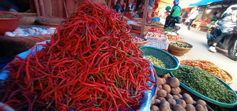 Harga Cabai di Pesisir Selatan Sumatera Barat Stabil, Keriting Rp 50 Ribu dan Bawang Merah Rp 32 Ribu per Kilogram