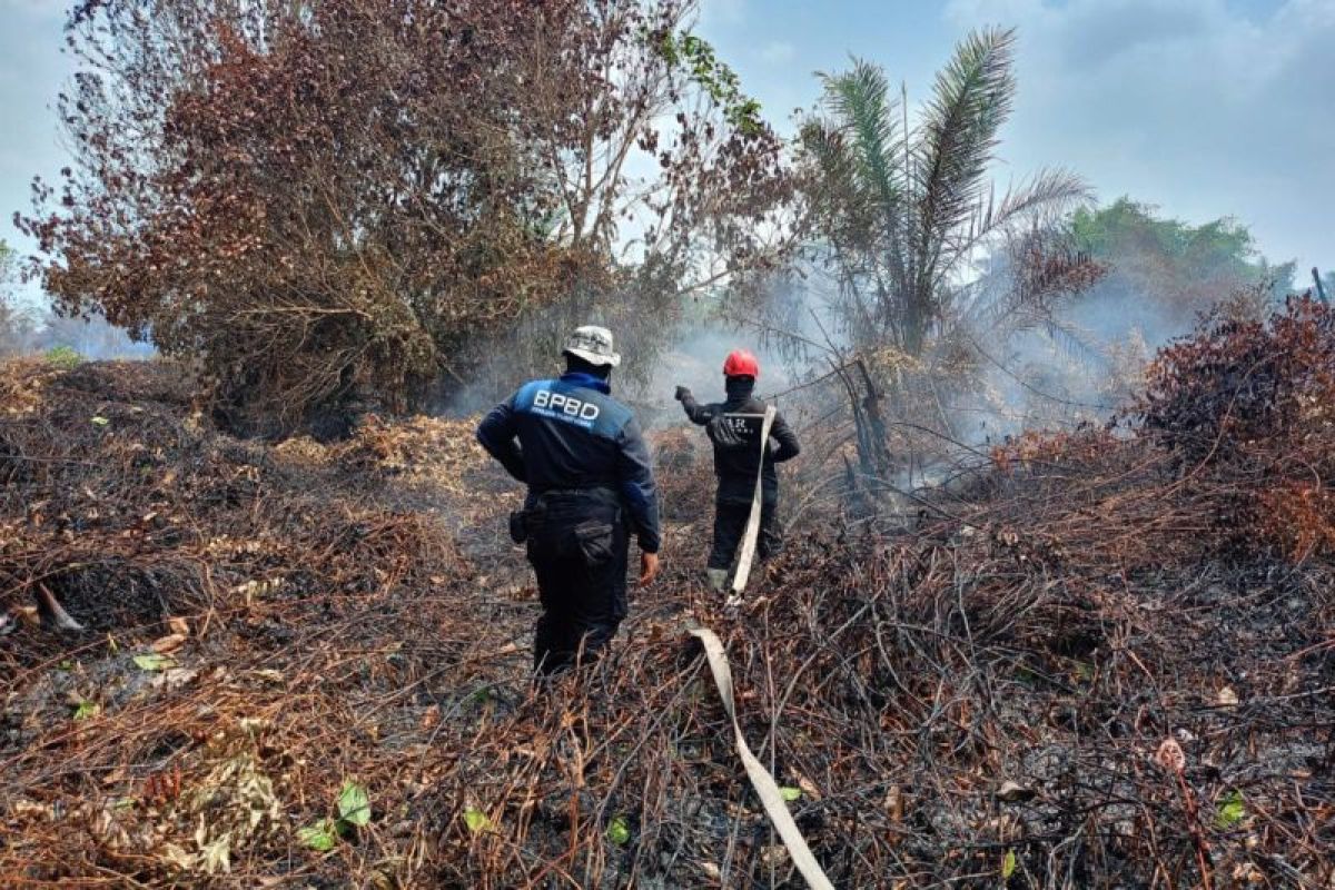 BPBD PPU Lanjut Padamkan Karhutla Gambut Petung Hari Ketujuh, 36,88 Hektare Terbakar