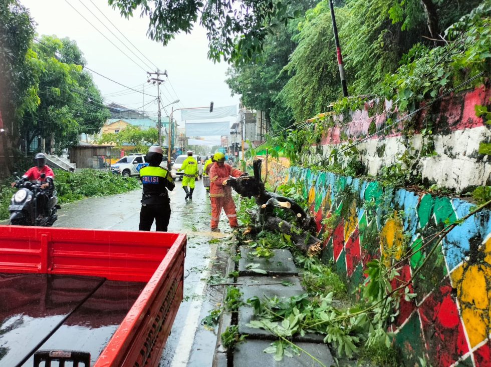 Hujan Lebat Tumbangkan Pohon di Jalan Tengku Umar Karimun, Arus Lalu Lintas Sempat Lumpuh Total