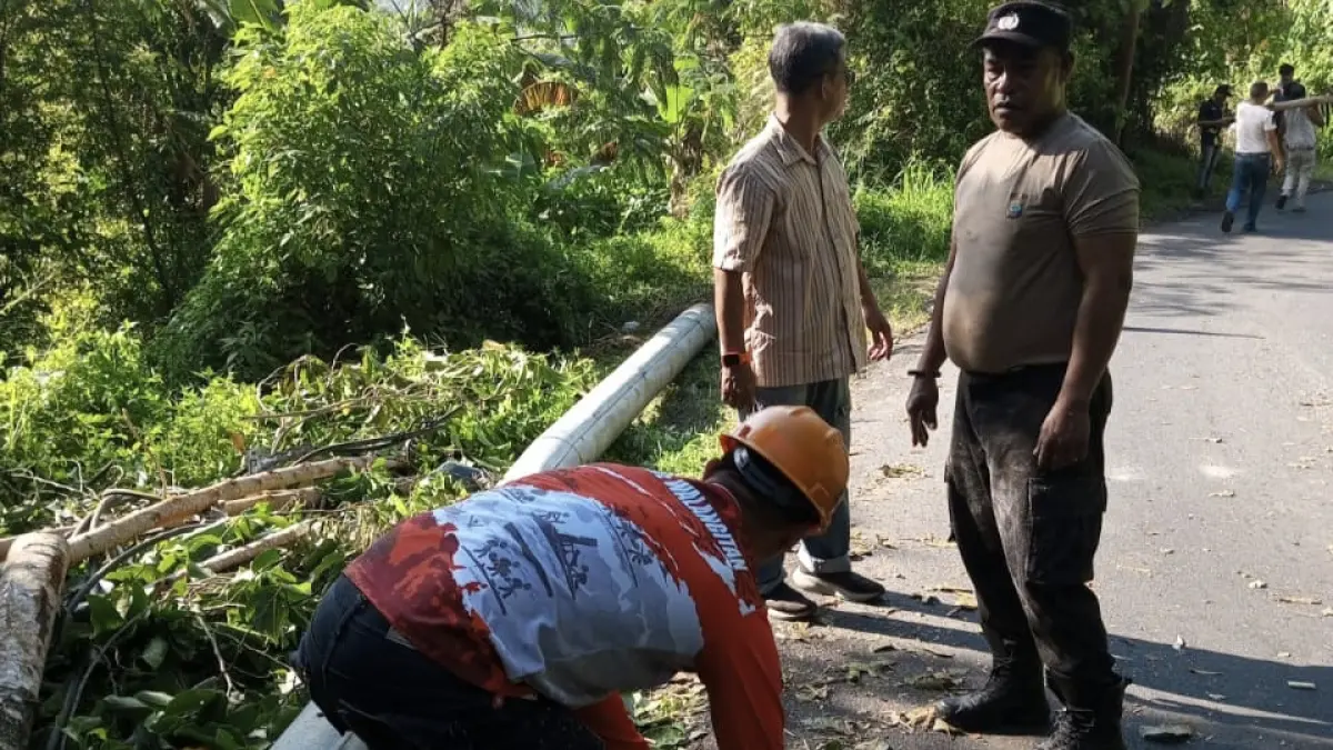 Tiang Listrik Roboh di Minahasa Utara Berhasil Dievakuasi, Arus Lalu Lintas di Jalan Airmadidi–Tondano Kembali Normal
