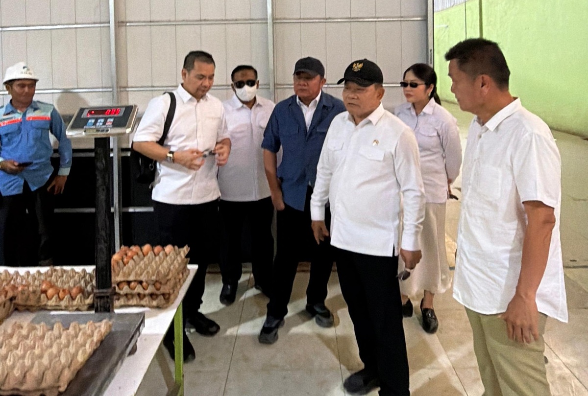 Gubernur Sumsel Herman Deru Pastikan Pasokan Telur 16-20 Ton per Hari Aman untuk Program MBG di Sumatera Selatan