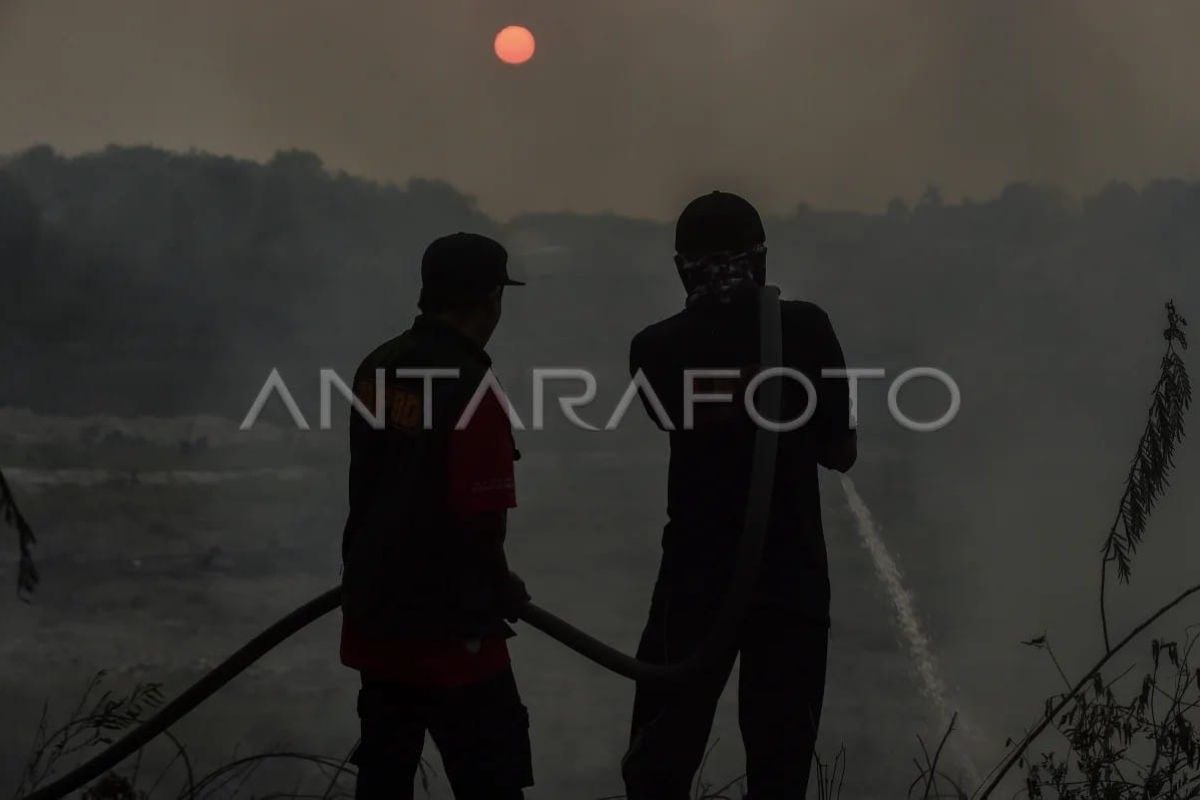 Kebakaran Lahan Hanguskan Median Jalan Sepanjang 400 Meter di Muara Bulian, Petugas Gabungan Terjun ke Lokasi