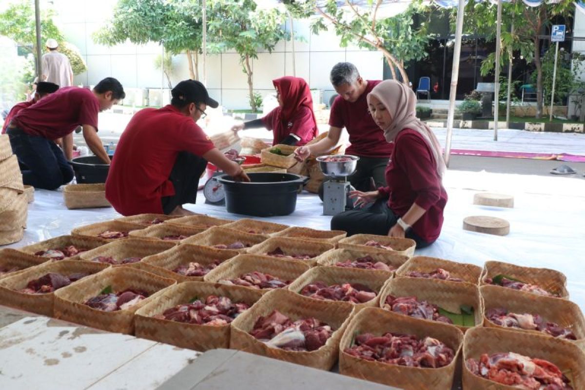 PLN UID Banten Salurkan 10 Ekor Hewan Kurban untuk 835 Penerima Manfaat di Tangerang dan Lebak