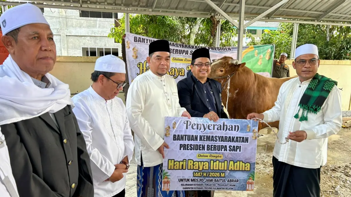 Presiden Prabowo Subianto Serahkan Sapi Kurban Jumbo untuk Warga Kotabaru, Panitia Siapkan 1.000 Kupon