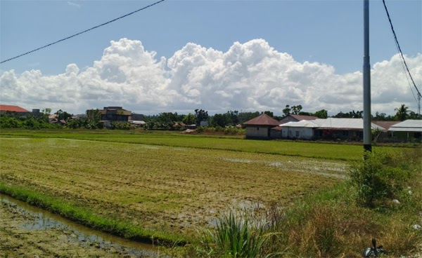 Prakiraan Cuaca Sumbar Senin 10 Agustus 2026: Padang Berawan, Hujan Ringan Berpotensi Guyur Pasaman dan Mentawai