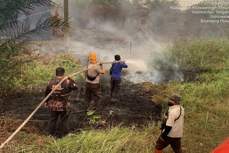 1.316 Kali Karhutla Landa Kotim Sepanjang 2026, 2.122 Hektare Lahan Terbakar