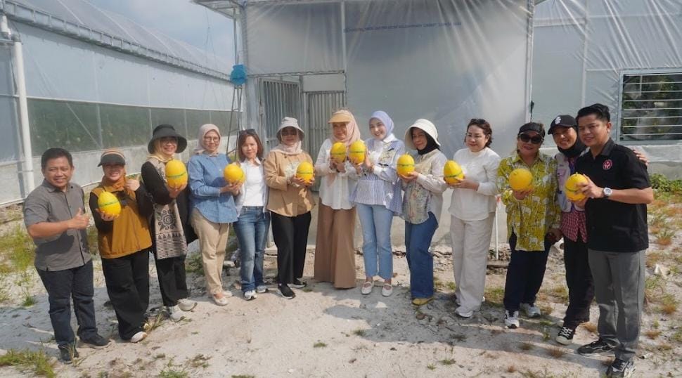 Dinas TPHP Kalteng Panen 1,1 Ton Melon Hidroponik dari Smart Greenhouse di Palangka Raya, Targetkan Replikasi ke Kelompok Tani