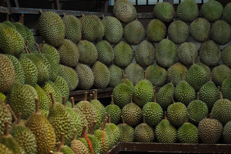 Rindu Bogor, Tempat Makan Durian yang Wajib Dikunjungi