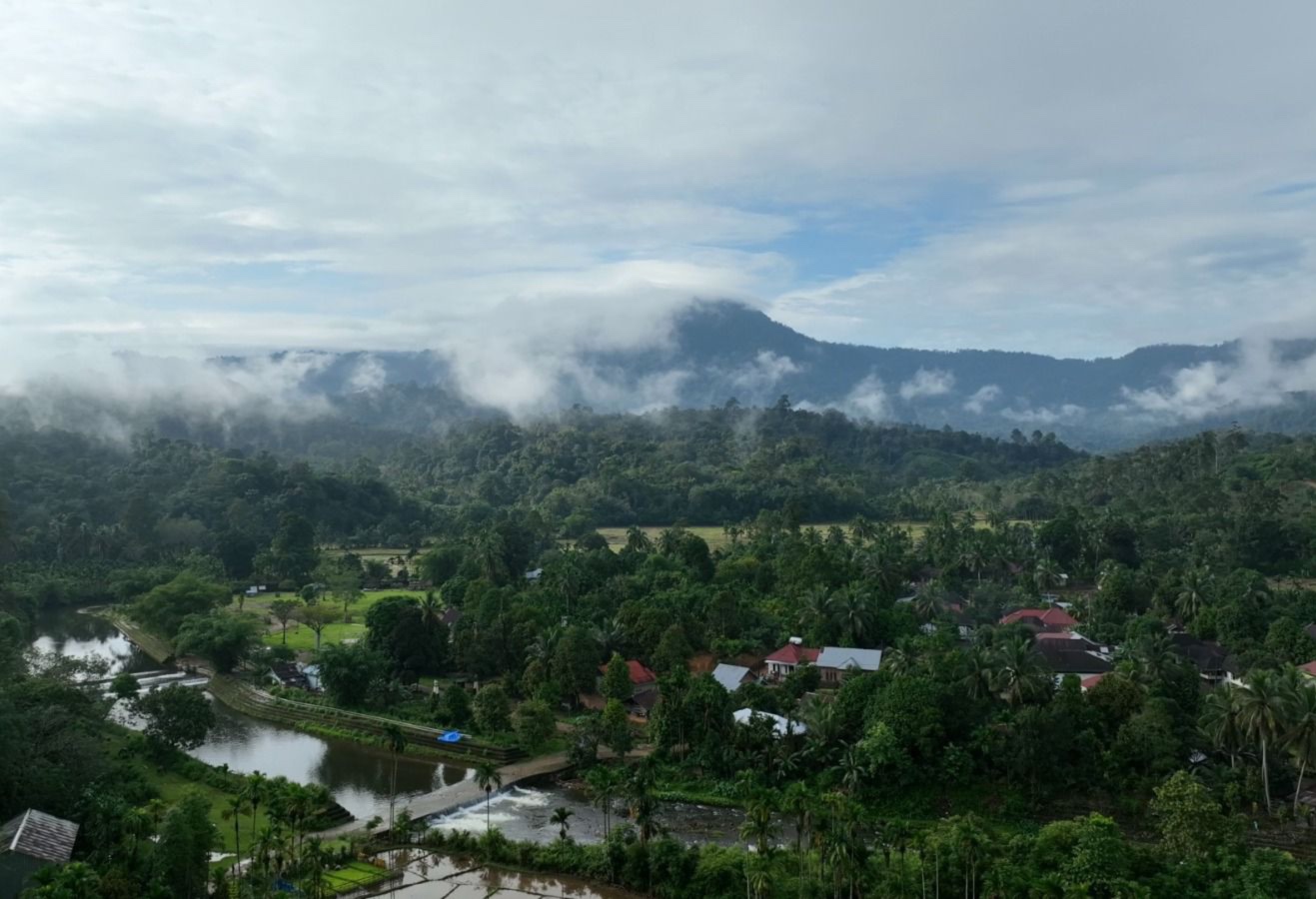 Lima Desa di Bungo Siapkan Diri Ikuti Perdagangan Karbon Berbasis Masyarakat, Aturan Baru Terbit Tahun 2026