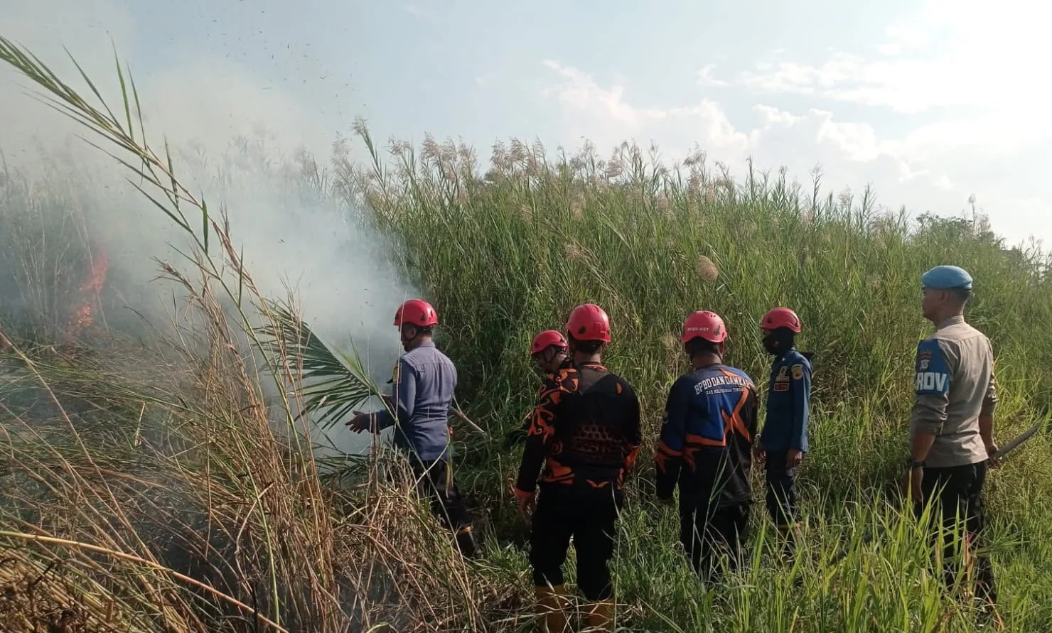Tujuh Karhutla di HST Selama Juli Hanguskan 18,65 Hektare, BPBD Imbau Warga Tak Bakar Lahan