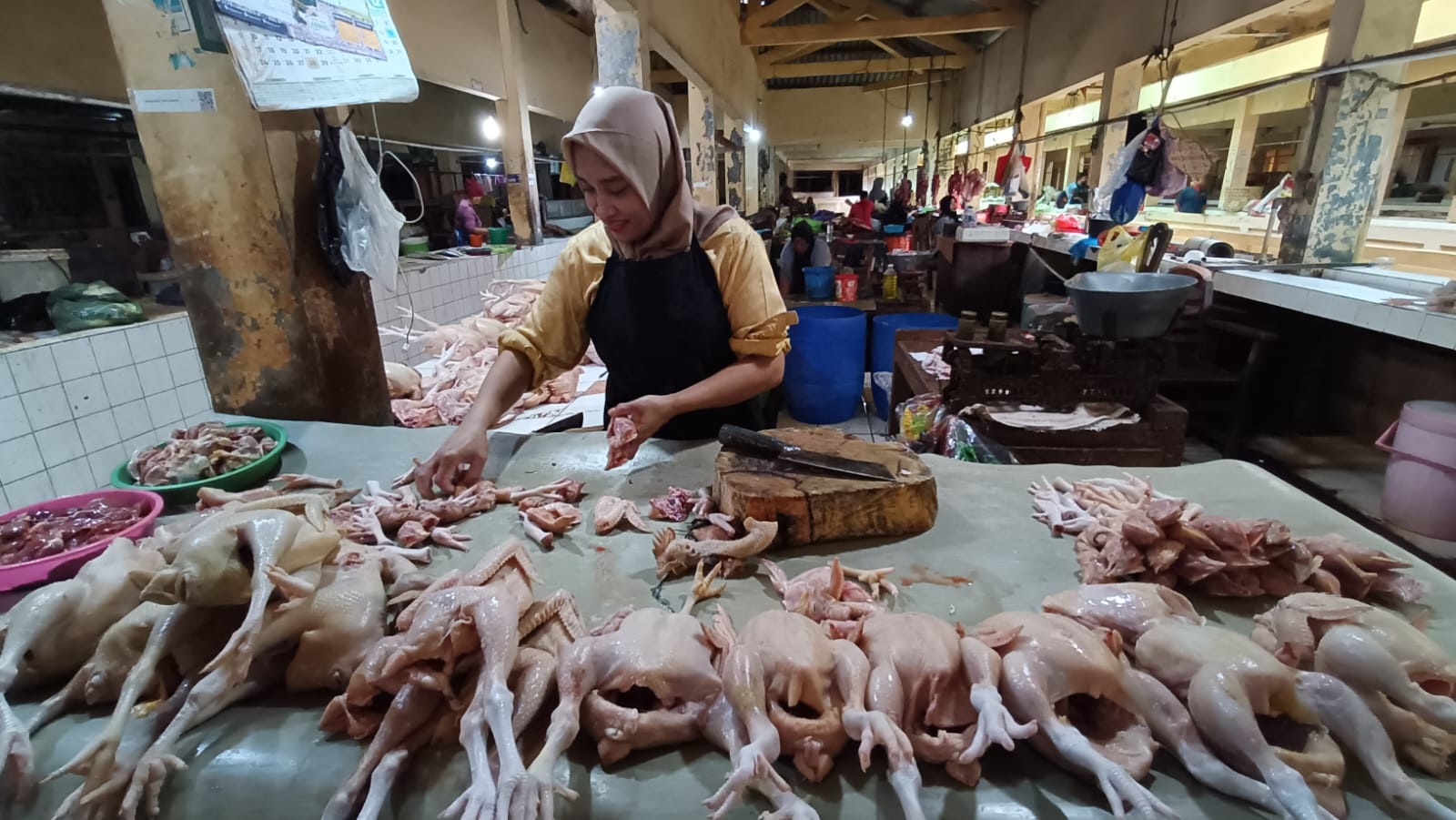 Harga Ayam di Jepara Anjlok Imbas MBG Berhenti, Penjualan Pedagang Turun Hingga 50 Persen