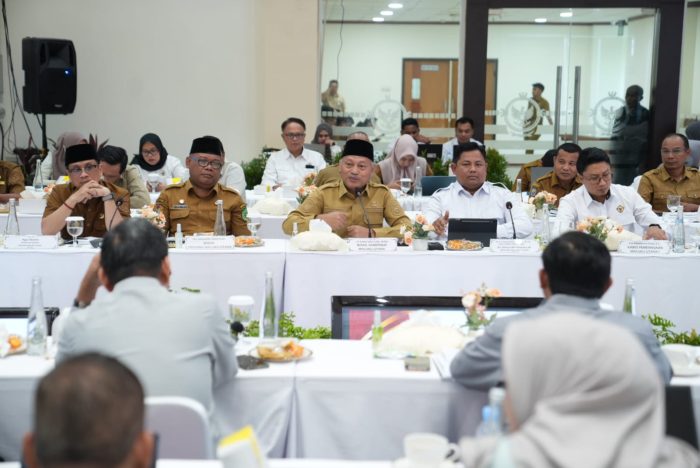Wagub Sarbin Sehe Ungkap Dua Pekerjaan Rumah Pemprov Malut Usai
