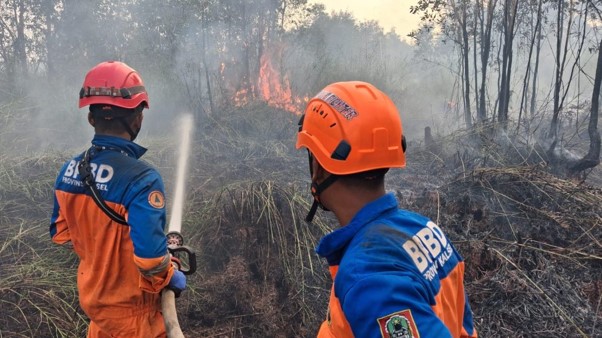 Si Jago Merah Dekati Permukiman di Landasan Ulin Timur Banjarbaru, 2 Hektare Lahan Galam Ludes Terbakar