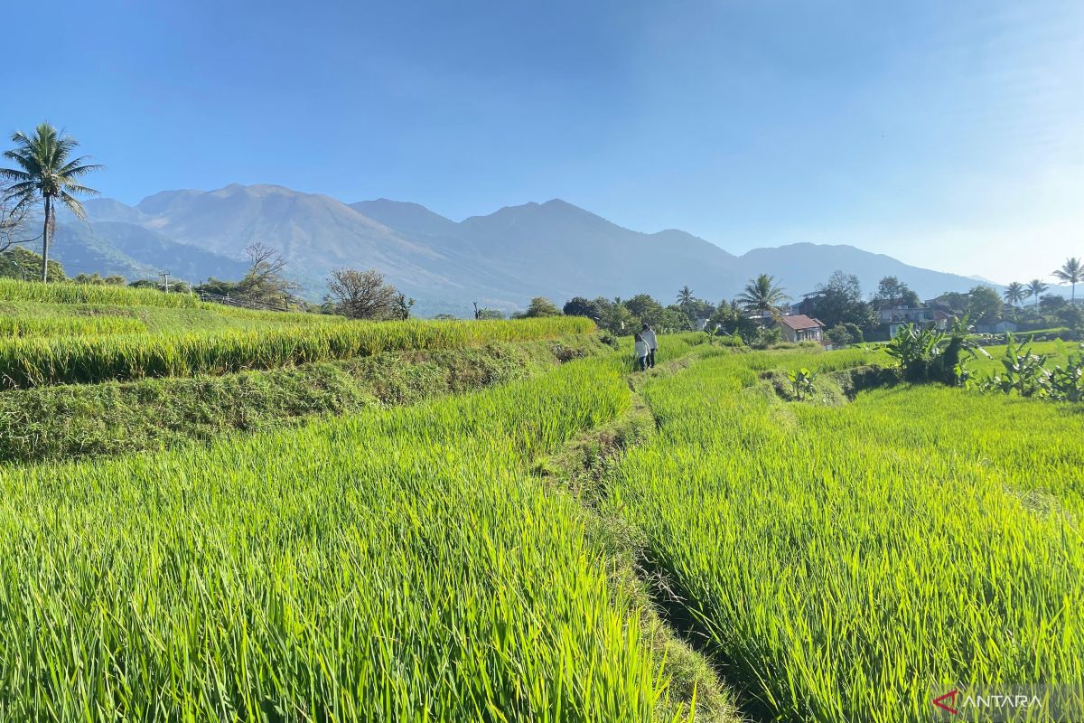 Dispertan Garut Bangun 89 Titik Irigasi Perpompaan, Target Operasional Awal September 2026