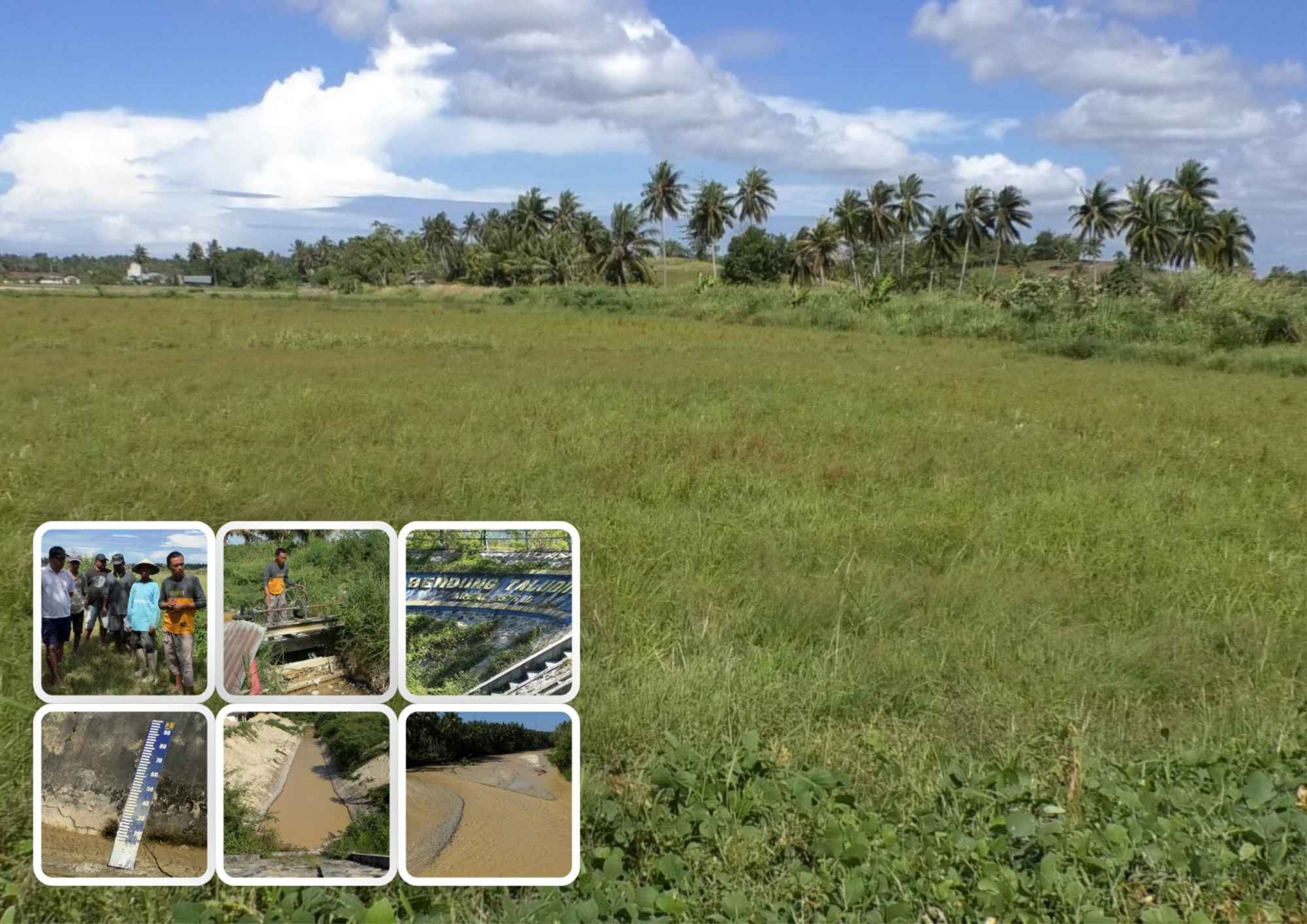 Pemprov Gorontalo Genjot Cetak Sawah Baru 5.642 Hektare, 1.700 Petani di Pohuwato Keluhkan Lahan Produktif Mati Tiga Tahun
