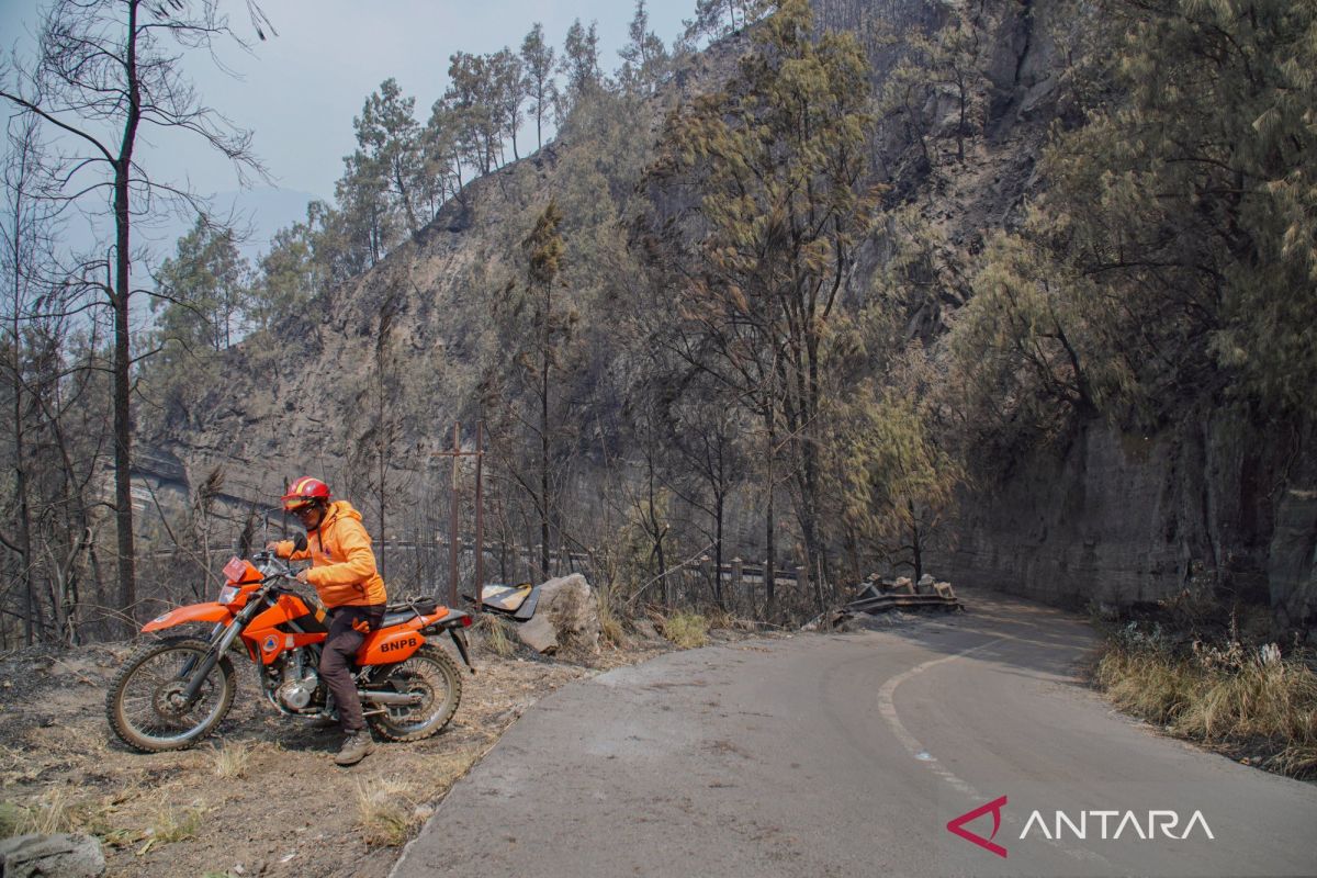Pemerintah Pusat Kerahkan Water Bombing dan Helikopter Padamkan Karhutla, 3 Provinsi Jadi Prioritas Utama