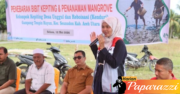 Dukung Ekosistem Pesisir Aceh Utara, PHE NSO Tanam 300 Mangrove dan Tebar 700 Bibit Kepiting