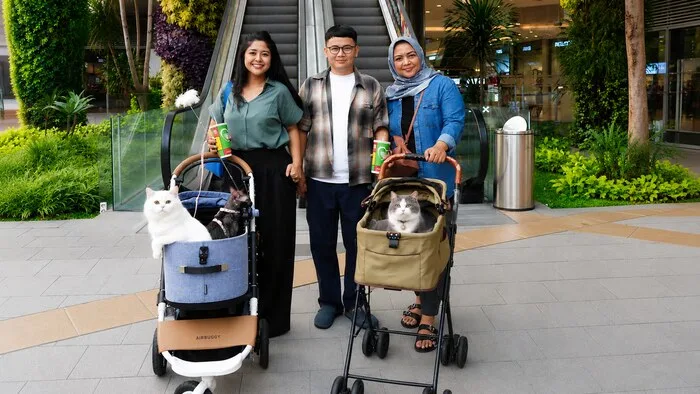 Grand Galaxy Park Bekasi Resmi Jadi Mall Ramah Kucing, Cat Pawrents Bisa Ngopi dan Belanja Bareng Anabul