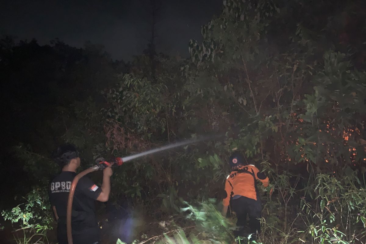 Tim Satgas Karhutla Muara Enim Padamkan Kebakaran Lahan 4 Hektare di Dua Desa Kecamatan Belimbing