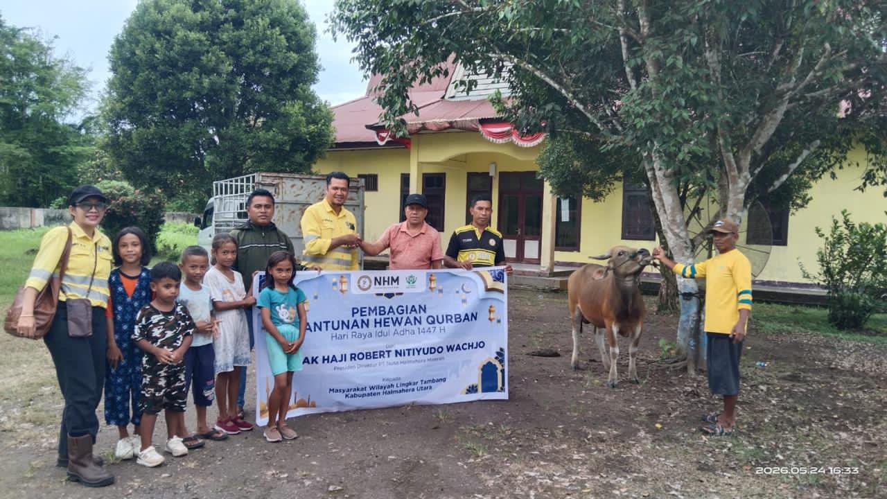 66 Ekor Sapi Kurban Dibagikan NHM ke Lima Kecamatan Lingkar Tambang di Halmahera Utara