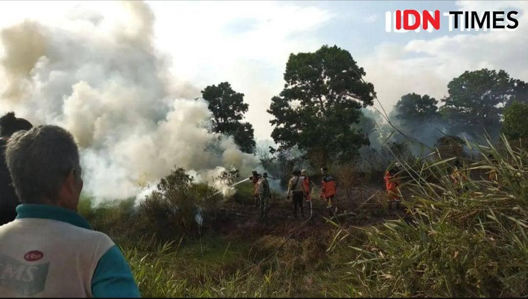 Suhu Udara Sumsel Capai 34 Derajat Celsius, BMKG Ingatkan Potensi Karhutla di Tengah Cuaca Cerah