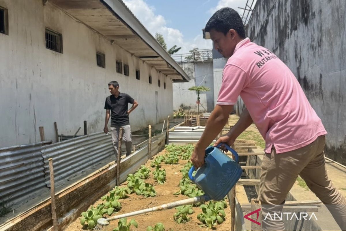 Rutan Kendari Bina Puluhan WBP Kelola Lahan Produktif, Panen Sayur hingga Lele untuk Ketahanan Pangan