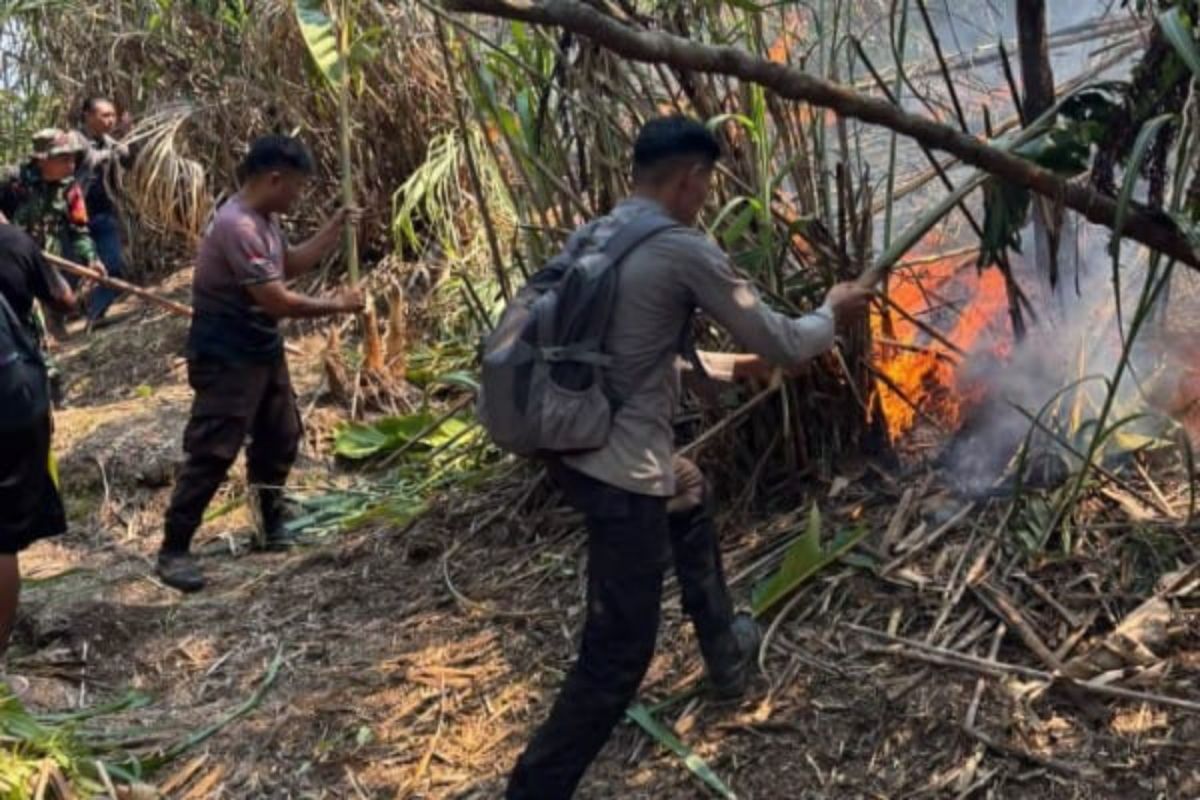 Polda Sulut Catat 370 Kejadian Karhutla Sepanjang 2026, 2.653,76 Hektare Hutan dan Lahan Terbakar