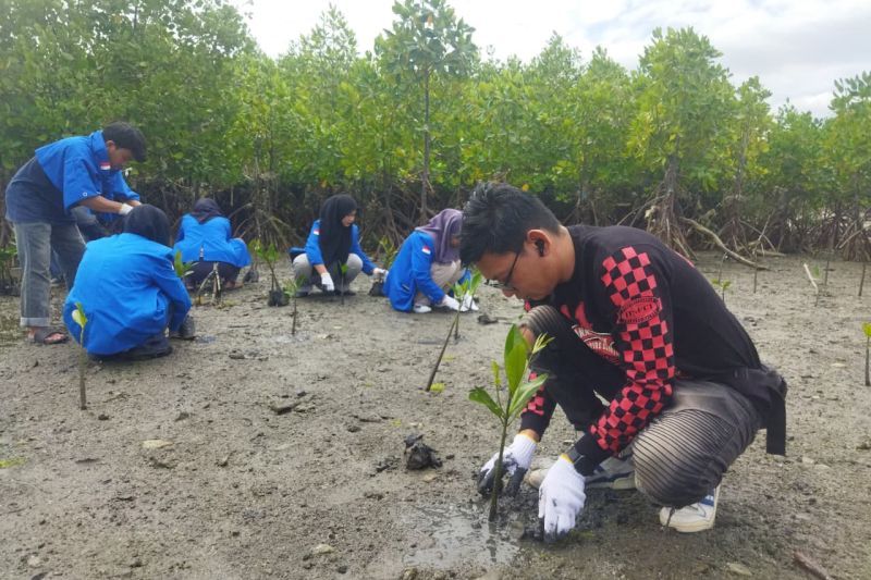 Hari Mangrove Sedunia, Honda Sulteng Tanam Mangrove dan Bersihkan Pantai Dupa Palu Bersama Mahasiswa UnTad