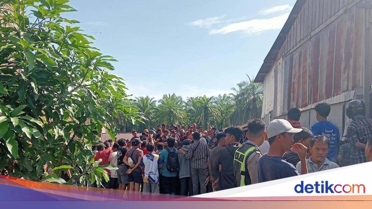 Paman dan Ponakan di Mamuju Tengah Bacok Pria hingga Tewas di Pasar, Korban Diduga Ganggu Adik Perempuan