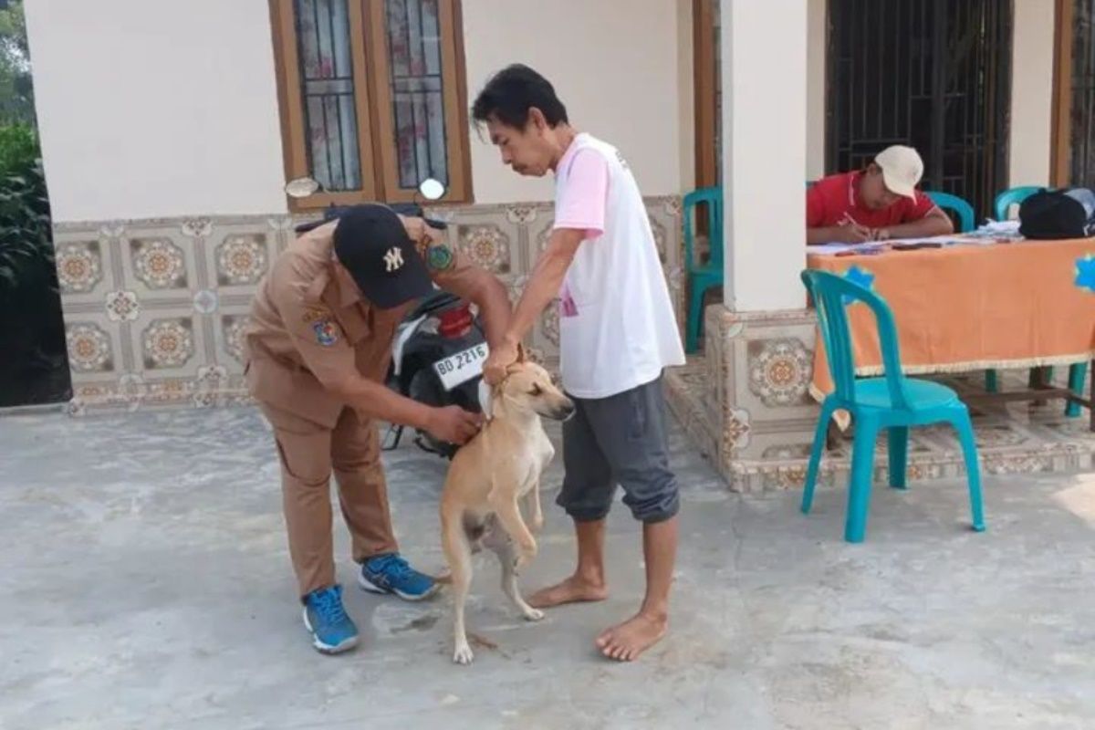 Distankan Rejang Lebong Siapkan 4.000 Dosis Vaksin Rabies Gratis, Sasaran 30.000 Hewan Peliharaan