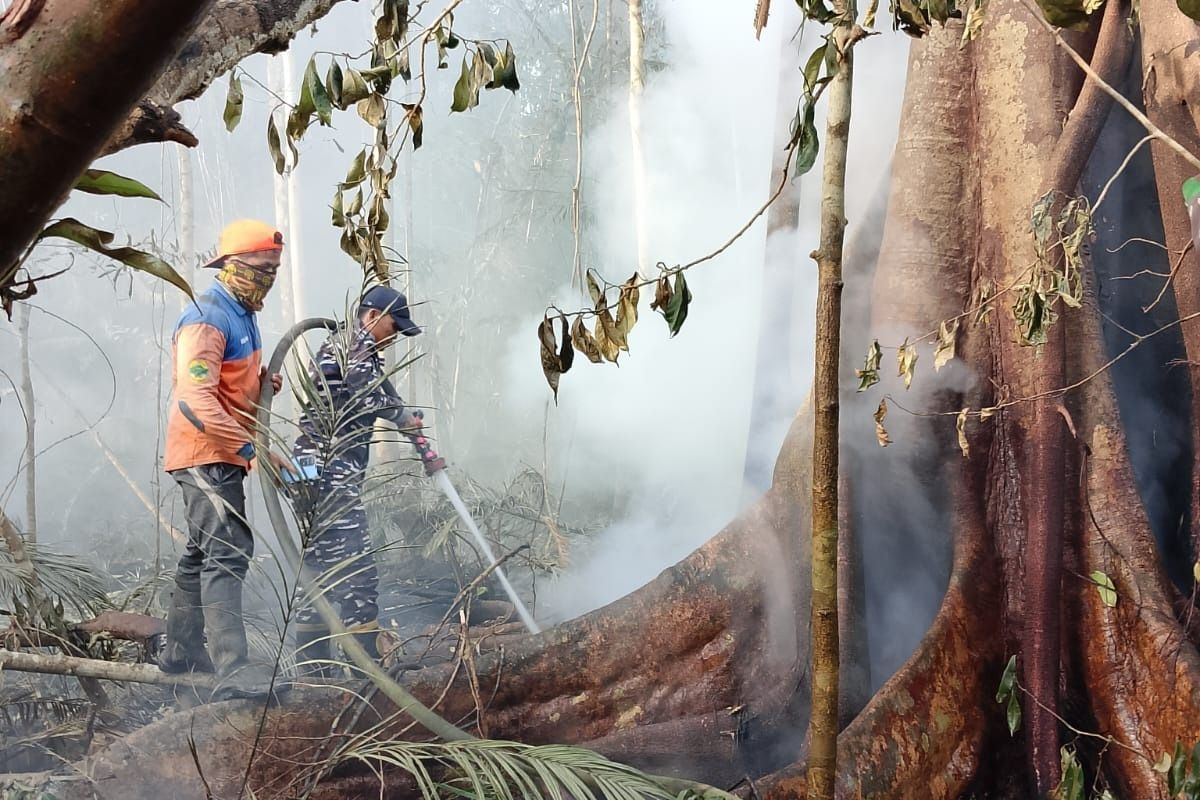 Pemkab Lingga Fokus Pendinginan Pascakarhutla, Status Tanggap Darurat Diperpanjang sejak 12 September 2026