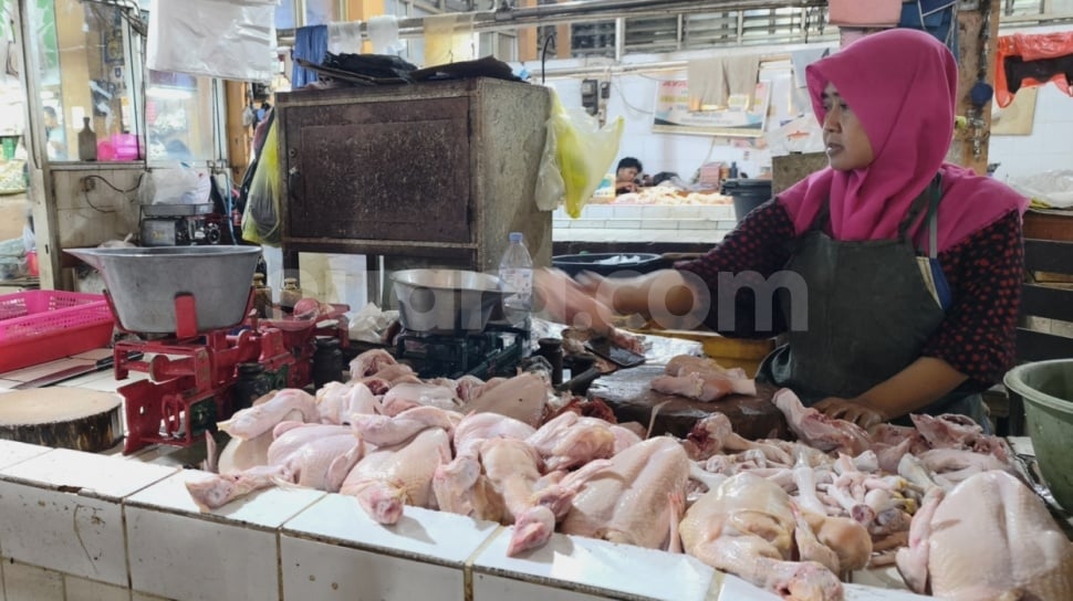 Harga Daging Ayam di Pasar Tradisional Yogyakarta Anjlok ke Rp25 Ribu Per Kg Usai Program MBG Libur Sekolah