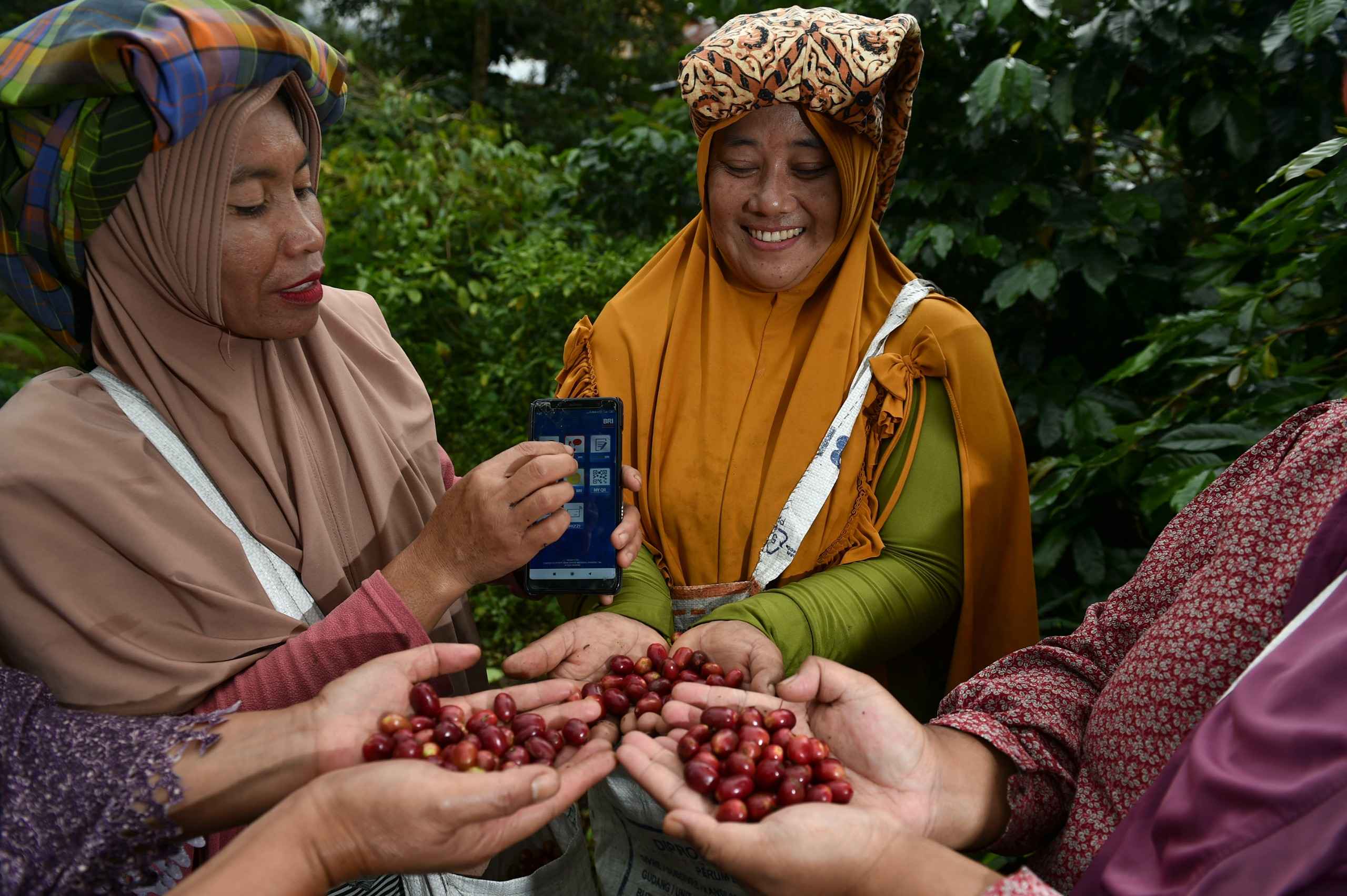 BRI Salurkan KUR Rp65,95 Triliun ke 1,3 Juta Debitur, Petani dan Nelayan di Bangka Belitung Jadi Sasaran Utama