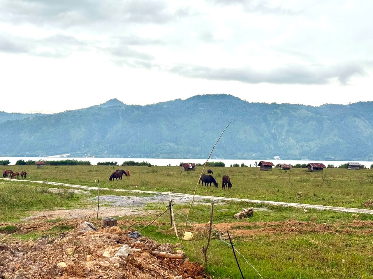 Rehabilitasi Sawah di Aceh Tengah Capai 90 Persen, 1.496 Hektare Ditargetkan Siap Ditanami Awal September