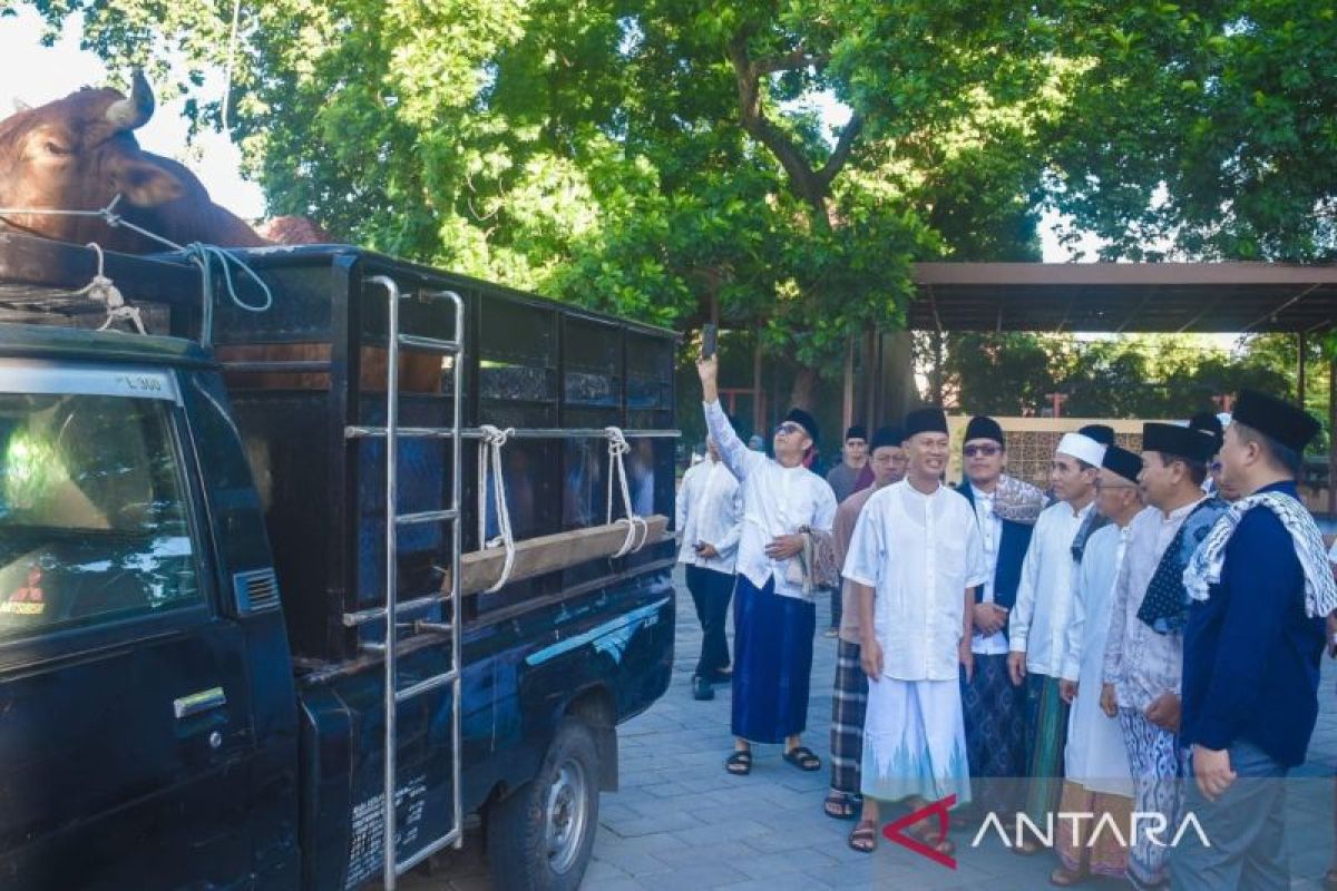 Idul Adha di NTB: Baznas Salurkan Daging Kurban Kalengan ke Desa Miskin Ekstrem dan Daerah Terpencil, 46 Ekor Hewan Disembelih