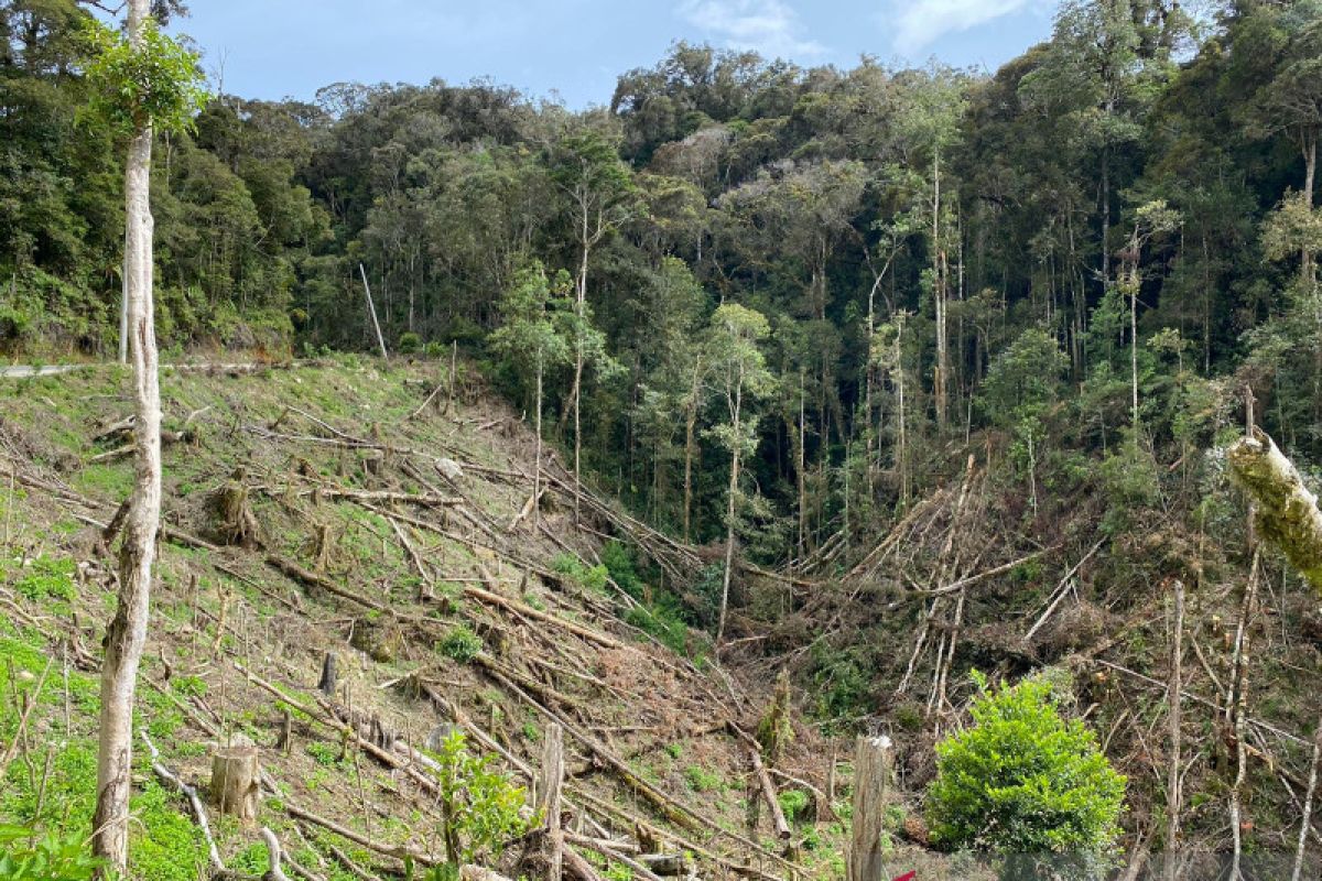 Kemenhut Siapkan Generasi Muda Pelestari Hutan di Sulsel Lewat Saka Wanabakti