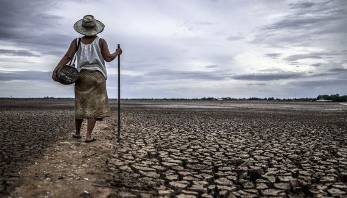 Puncak Kemarau di Sumsel Mundur ke Agustus-September, BMKG Ungkap Peran El Nino