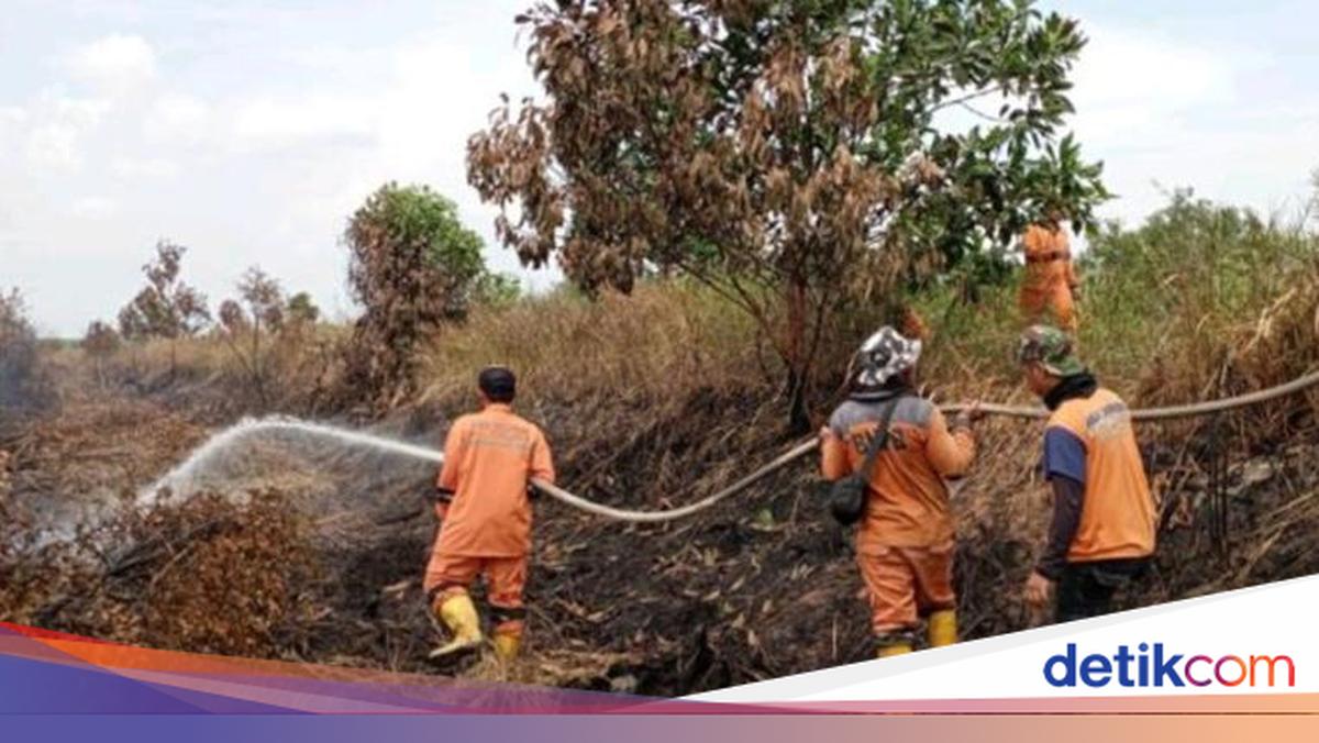 63 Karhutla Terjadi di Sumsel Sepanjang 2026, PALI dan Muara Enim Catat Kasus Terbanyak