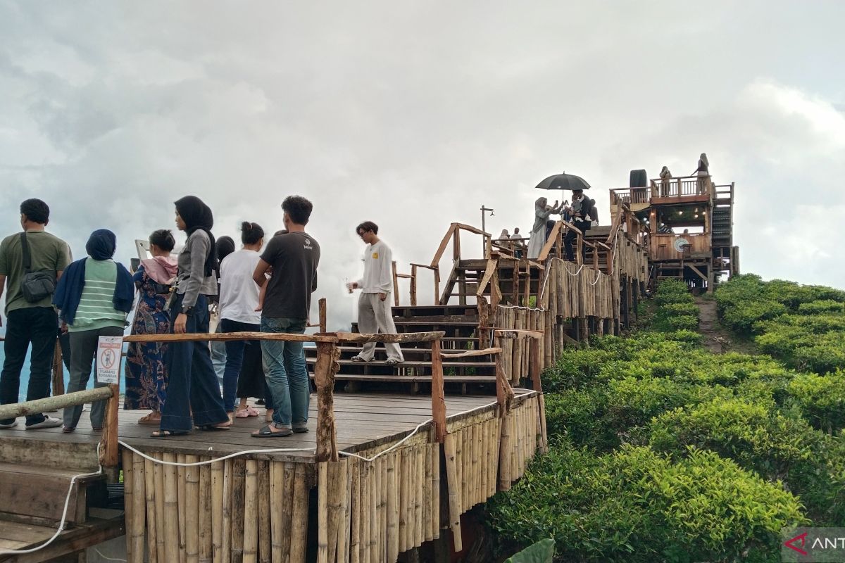 Desa Wisata Gunung Dempo Pagaralam Kembali Dibuka, Izin Sementara Hanya 3 Bulan untuk Urus Legalitas Lahan HGU