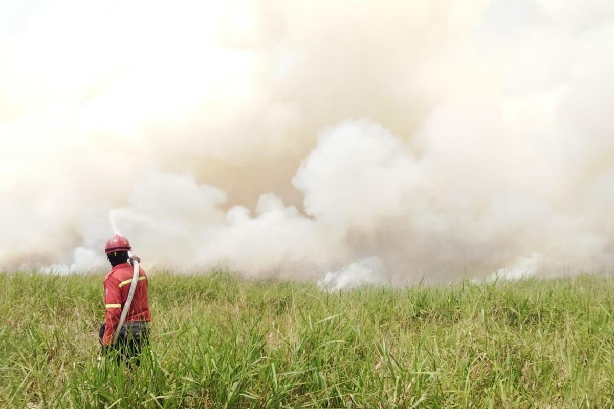 PT RHM Kerahkan 7 Ekskavator dan Helikopter Padamkan Karhutla di Musi Banyuasin, Lahan Terbakar Capai Setengah Hektare