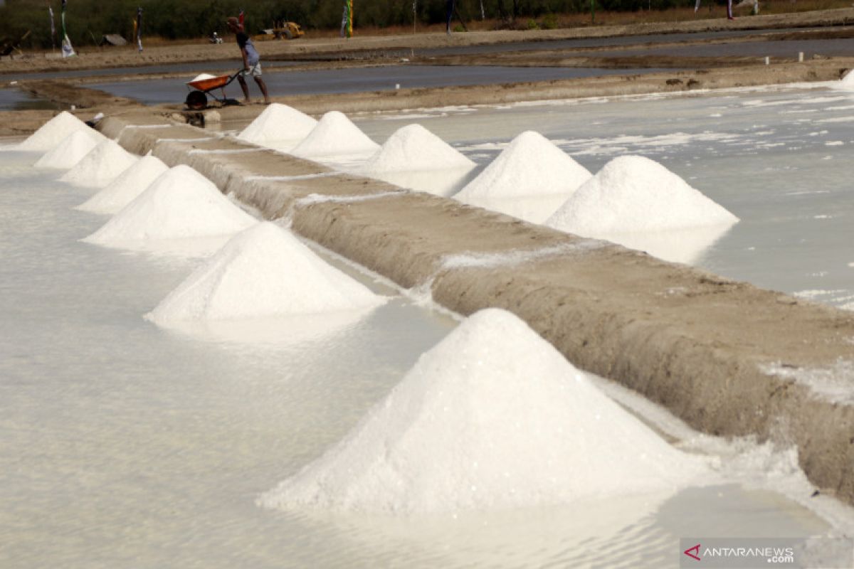 Indef: NTT Prospektif Jadi Basis Produksi Garam Industri, Lahan 10.764 Hektare di Rote Ndao Disiapkan