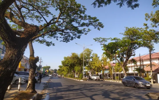 BMKG: Cuaca Kalimantan Selatan Hari Ini Cerah hingga Cerah Berawan, Suhu Capai 34 Derajat