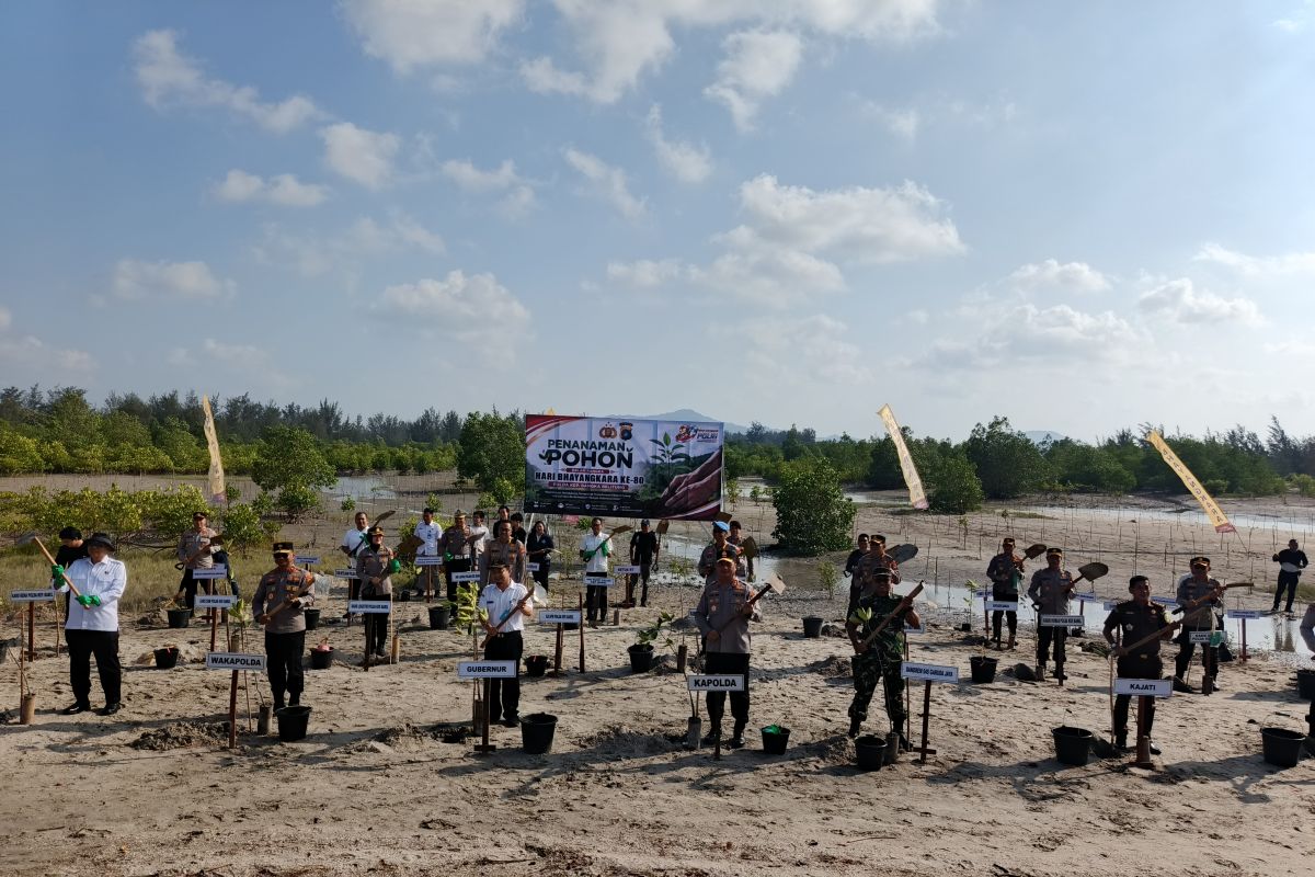 Kapolda Babel Sebut Penanaman 3.000 Pohon di Pantai Rebo sebagai Cara Bayar Utang ke Alam Akibat Tambang