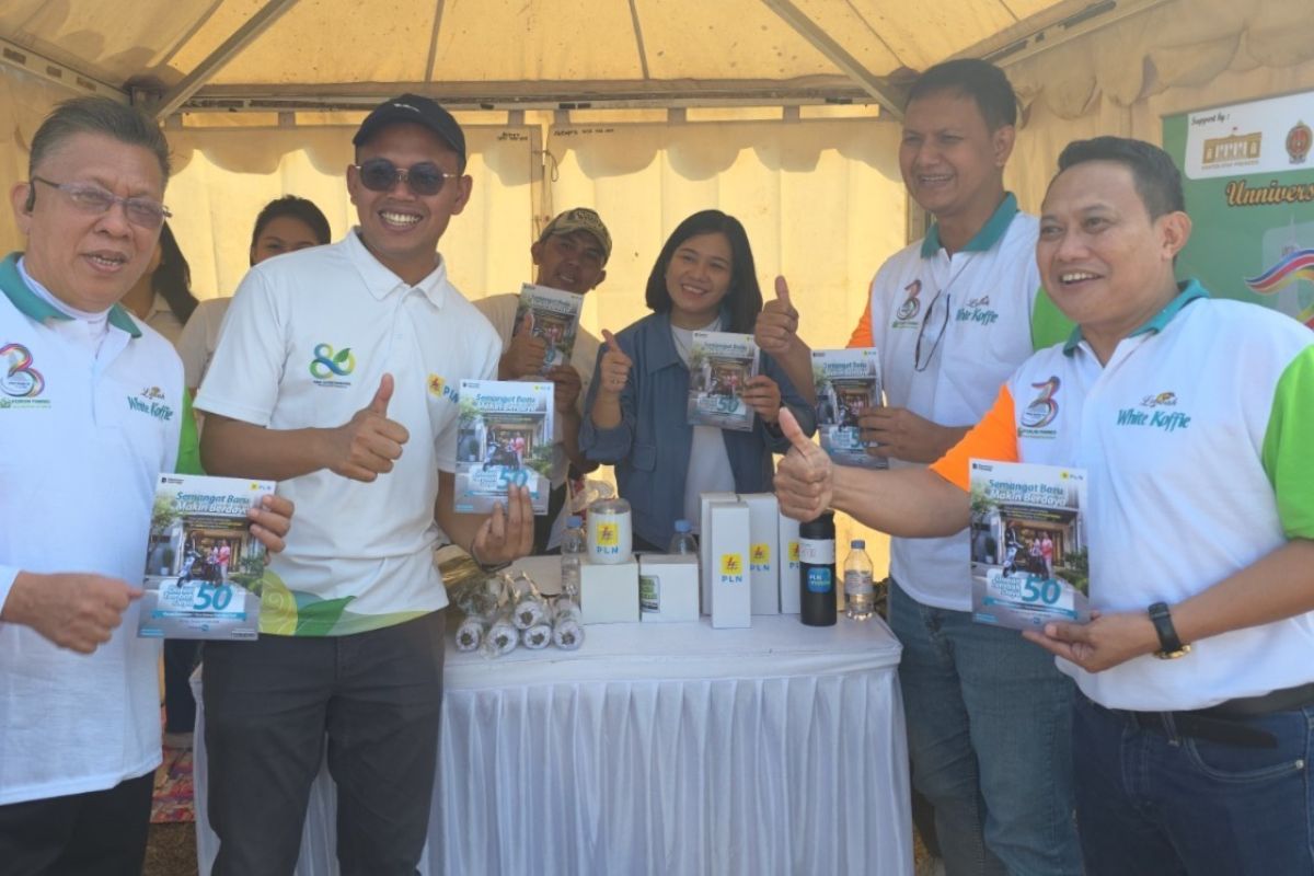 1.273 Pelanggan di DIY Tambah Daya Listrik Jelang HUT RI, PLN Catat Dominasi Rumah Tangga