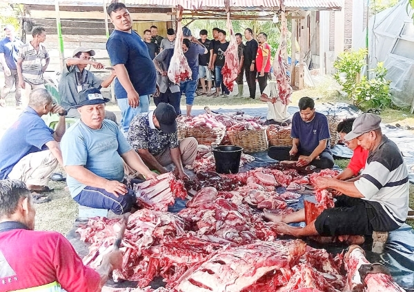 Warga Dusun Kommes Bireuen Sembelih 22 Hewan Kurban, Tiga Ekor Sapi dari Lembaga Amal Turki