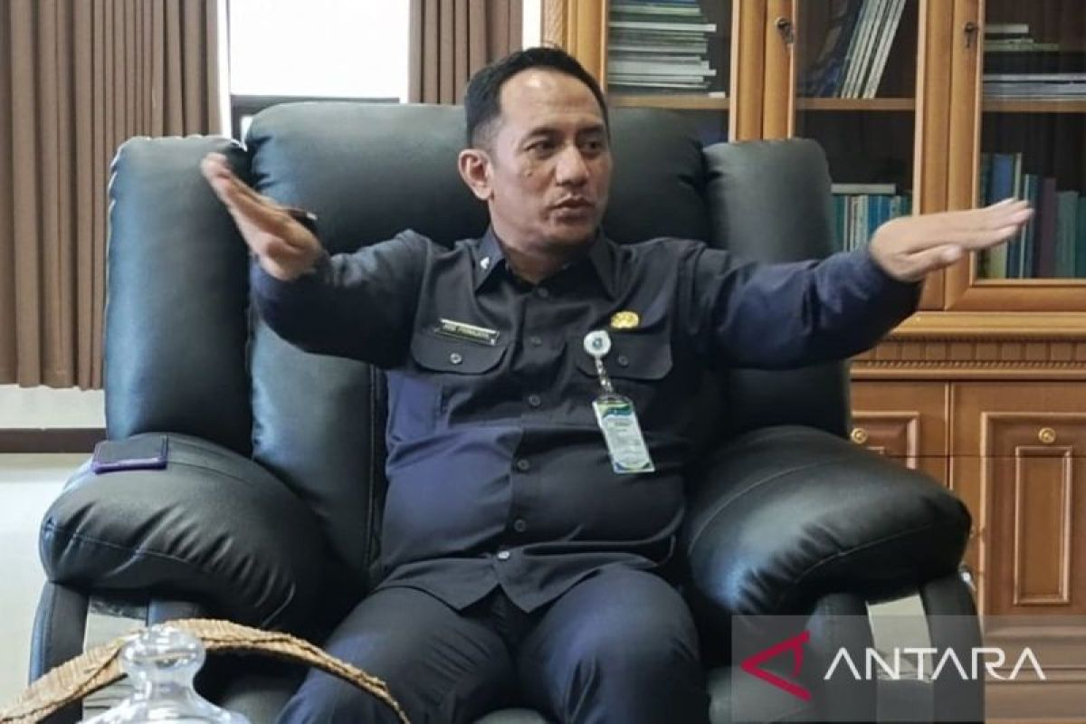 119.303 UMKM di Bangka Belitung Jadi Tulang Punggung Ekonomi, Pemprov Perkuat Digitalisasi untuk Perluas Pasar